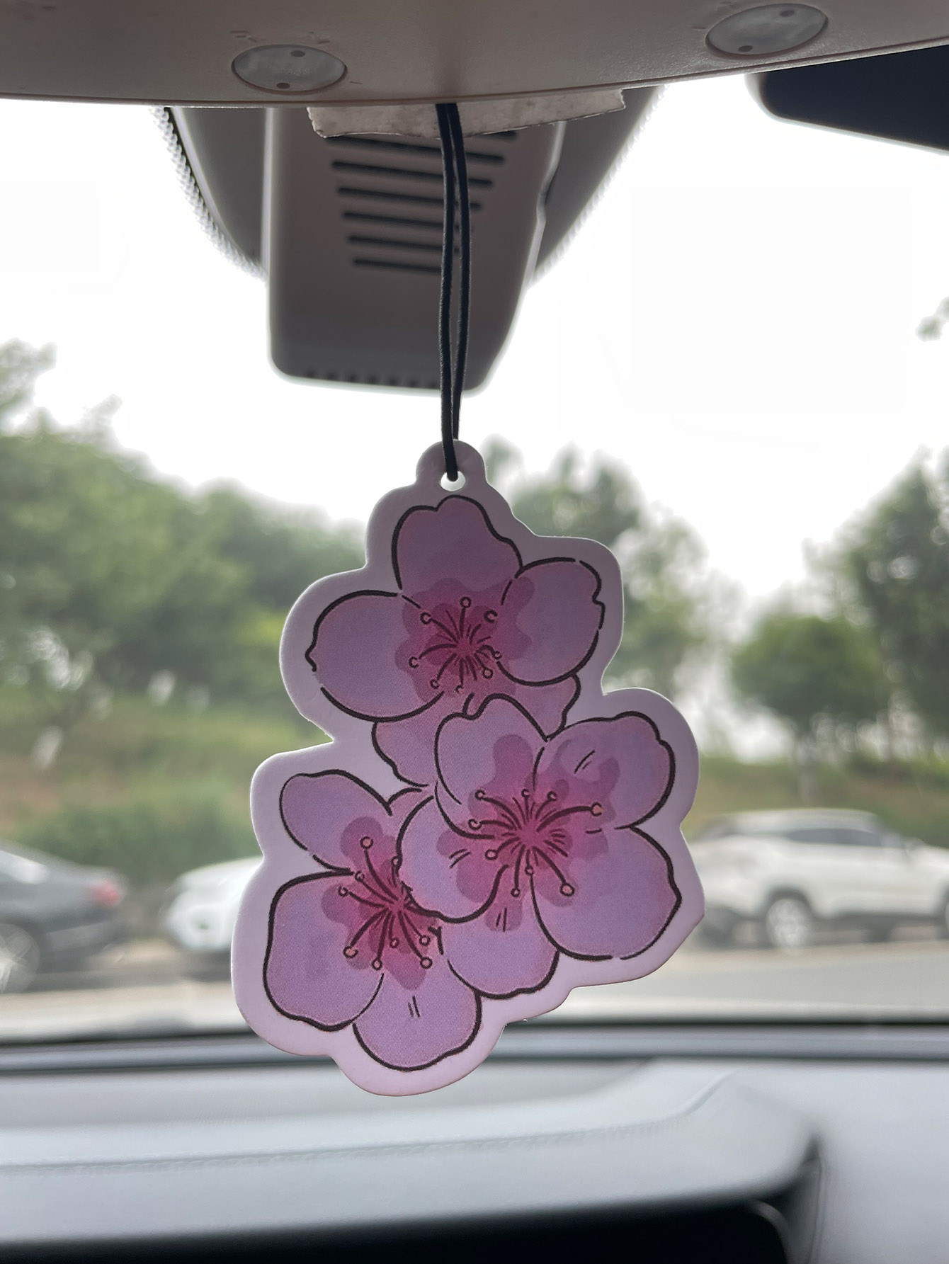 Home One Bathroom - Sakura/Freesia Fresh Scent Five-Star Neutral Car